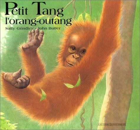 Petit Tang l'orang-outang
